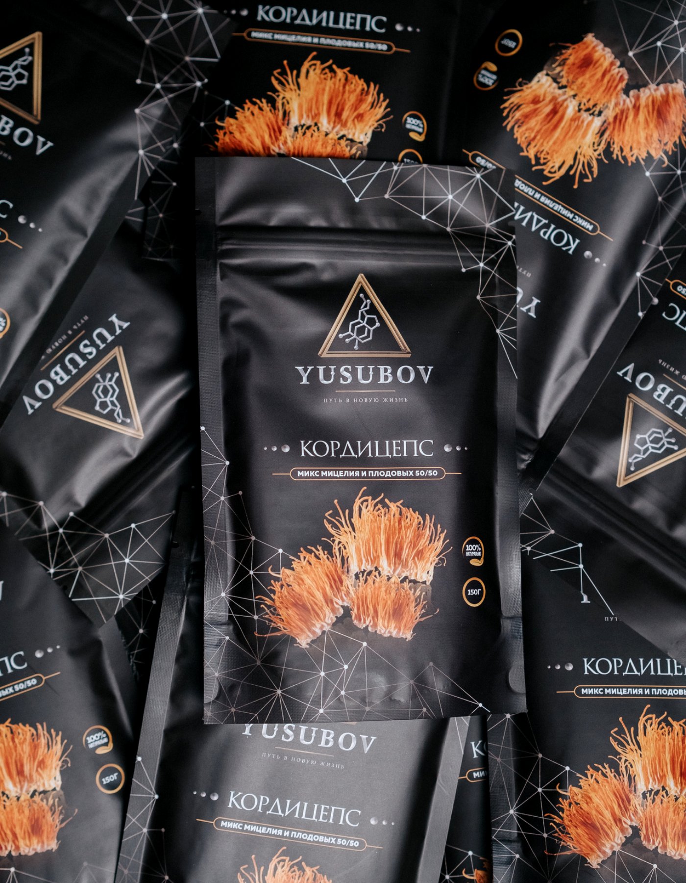 Cordyceps militaris — original YUSUBOV photograph